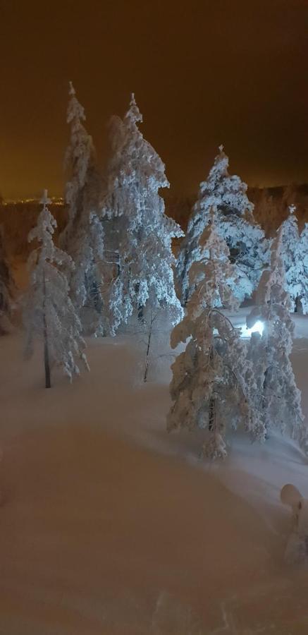 Apartman Mina Divčibare Kültér fotó